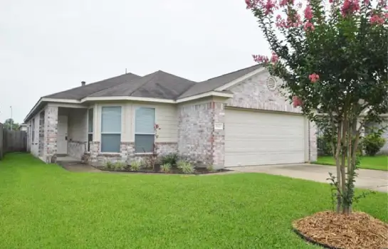 19607 swan valley