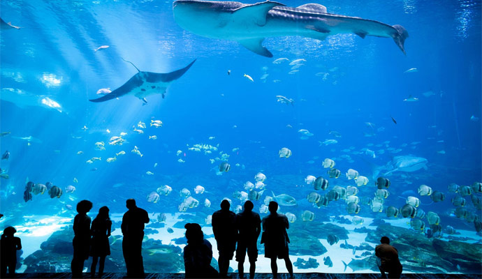 Downtown Aquarium